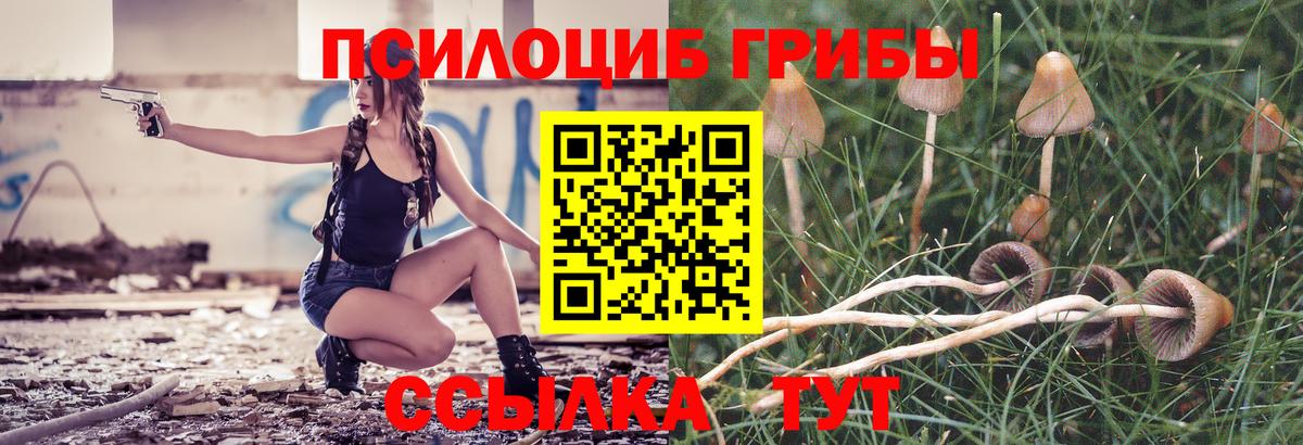 Белебей  Галлюциногенные грибы прущие грибы  купить наркоту  Вход с VPN 