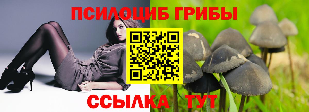 Галлюциногенные грибы Psilocybine cubensis Белебей